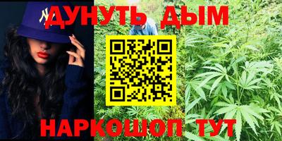 гашик Пыть-Ях