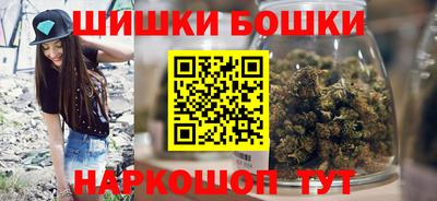 индика Рузаевка