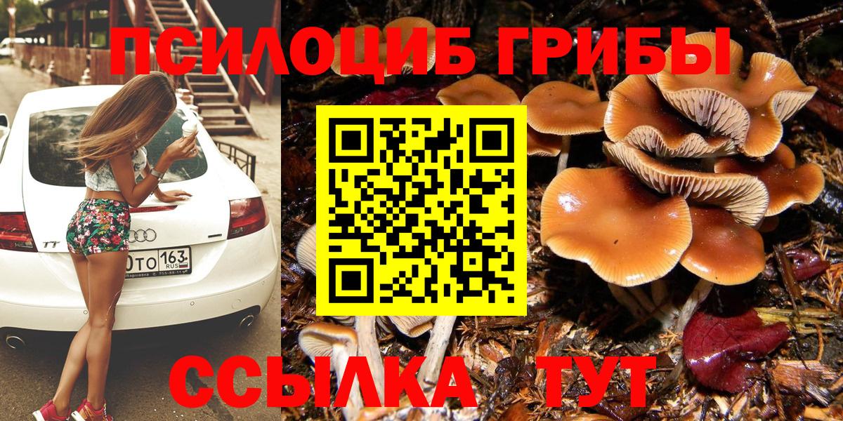 Псилоцибиновые грибы прущие грибы  Галлюциногенные грибы Psilocybe  Отрадное  Вход с VPN 
